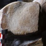 Neanderthalers jaagden op reusachtige olifanten