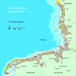 Vogels gaan verhaal van het wad vertellen