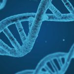 Physicaprijs­winnaar Nynke Dekker: ‘Mens produceert lichtjaar aan dna’