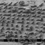 Nanodruppels ‘skiën’ bij hoge temperaturen