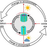 Evoluerend chemisch systeem verandert de eigen omgeving