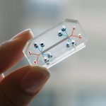 Nieuwe methoden om orgaanfalen door virussen te onderzoeken