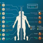 Er moet meer kennis komen over het microbioom