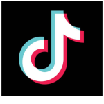 TikTok als politiek communicatiemedium