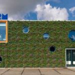 Biomaterialen leiden tot een forse reductie in broeikasgasemissies, maar zijn nog niet klimaatneutraal