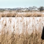 Van vechten tegen het water naar leven met het water