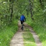 Observeren van de natuur maakt gelukkiger