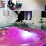 Tissue engineering