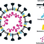Bouwen op moleculaire schaal