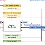 Strategische liefde bij (mens)apen