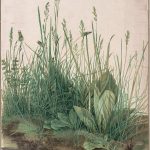Oud DNA in nieuwe planten