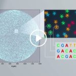In recordtijd DNA-moleculen analyseren