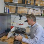 Virtuele microscoop voor pollenonderzoek