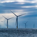 Wind op zee: hoe houden we groei en natuur in balans?