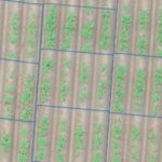 Een nieuwe manier om landbouw te verbeteren met microbiologie en AI