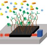 Ontwikkeling inwendige biosensor voor mens en dier