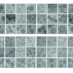 Nanotransportsysteem in het lichaam