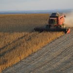 Klimaatverandering bedreigt wereldwijde sojaproductie