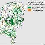 Hoogleraar natuurherstel