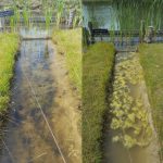 Milieunormen beschermen waterleven niet