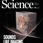 Echografie op microscopisch niveau