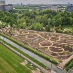 De geschiedenis van de plantenevolutie zichtbaar gemaakt