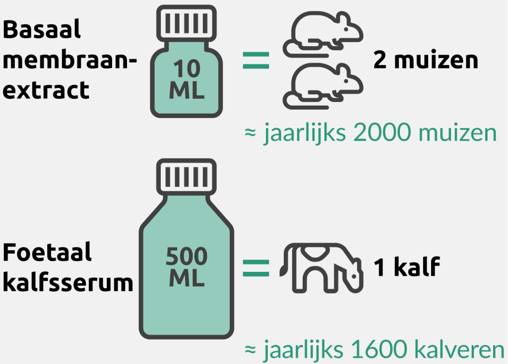 Afbeelding uit jaarverslag 3Rs Centre Utrecht