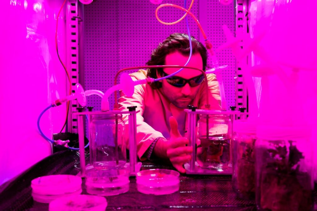 Lucas van der Zee kweekt planten in een laboratorium