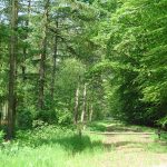 Nieuwe Handleiding Natuur en Gezondheid