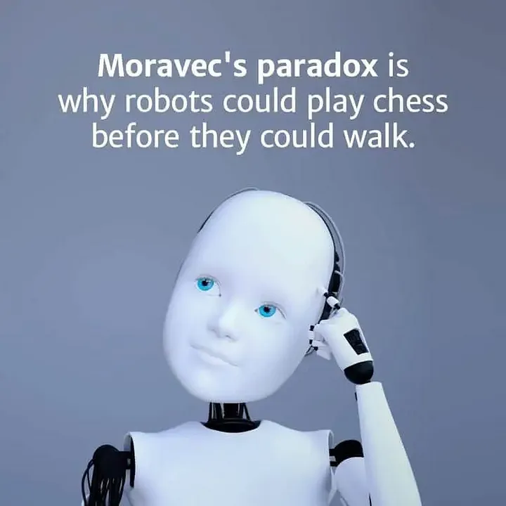 Paradox van Moravec