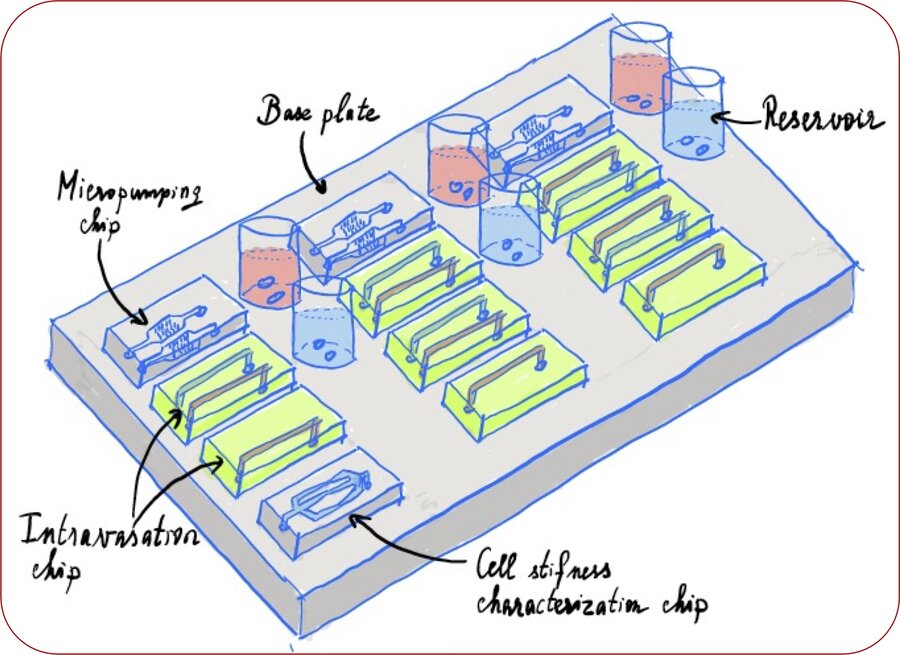 Cancer-on-a-chip