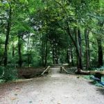 Al na 15 minuten natuur verbetert je mentale gezondheid