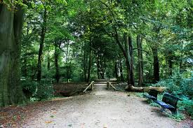stadsbos