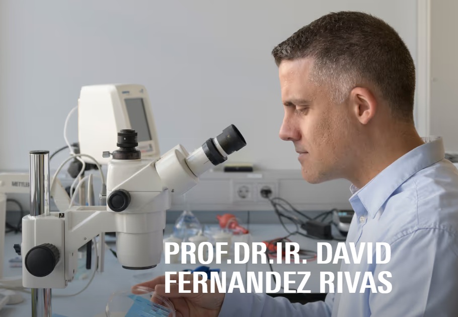 David Fernandez Rivas