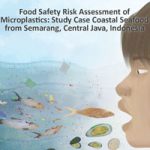 Zeevoedsel en microplastics