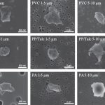 De impact van micro- en nanoplastics op de longen