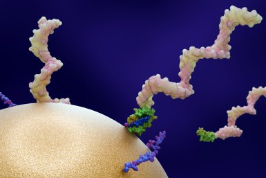 RNA aan de buitenkant van een cel