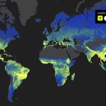 Schimmeldiversiteit wereldwijd in kaart