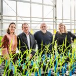 Bacteriën voor gewasbescherming