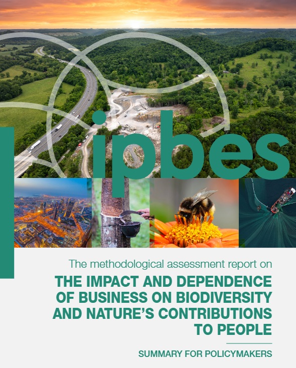 Rapport IPBES