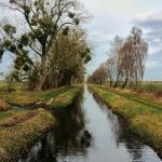 Luisteren naar grondwater