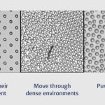 3D-geprinte robotjes
