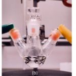 Chemici maken bouwsteen voor medicijnen en plastics uit biomassa