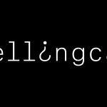 Open Source Intelligence in China