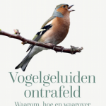 Hoeveel een man zingt…