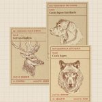 Liminale dieren