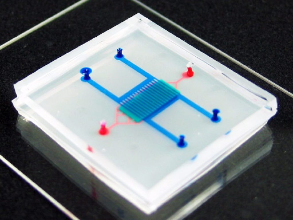 Hart-op-een-chip