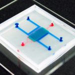 Een geavanceerd hart-op-een-chip-platform