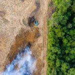 COP17: ‘Biodiversiteit is onze eerste verdedigingslinie tegen klimaatverandering’